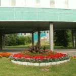 Социальные программы Социальные программы