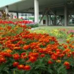 Социальные программы Социальные программы