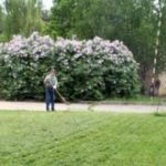 Социальные программы Социальные программы